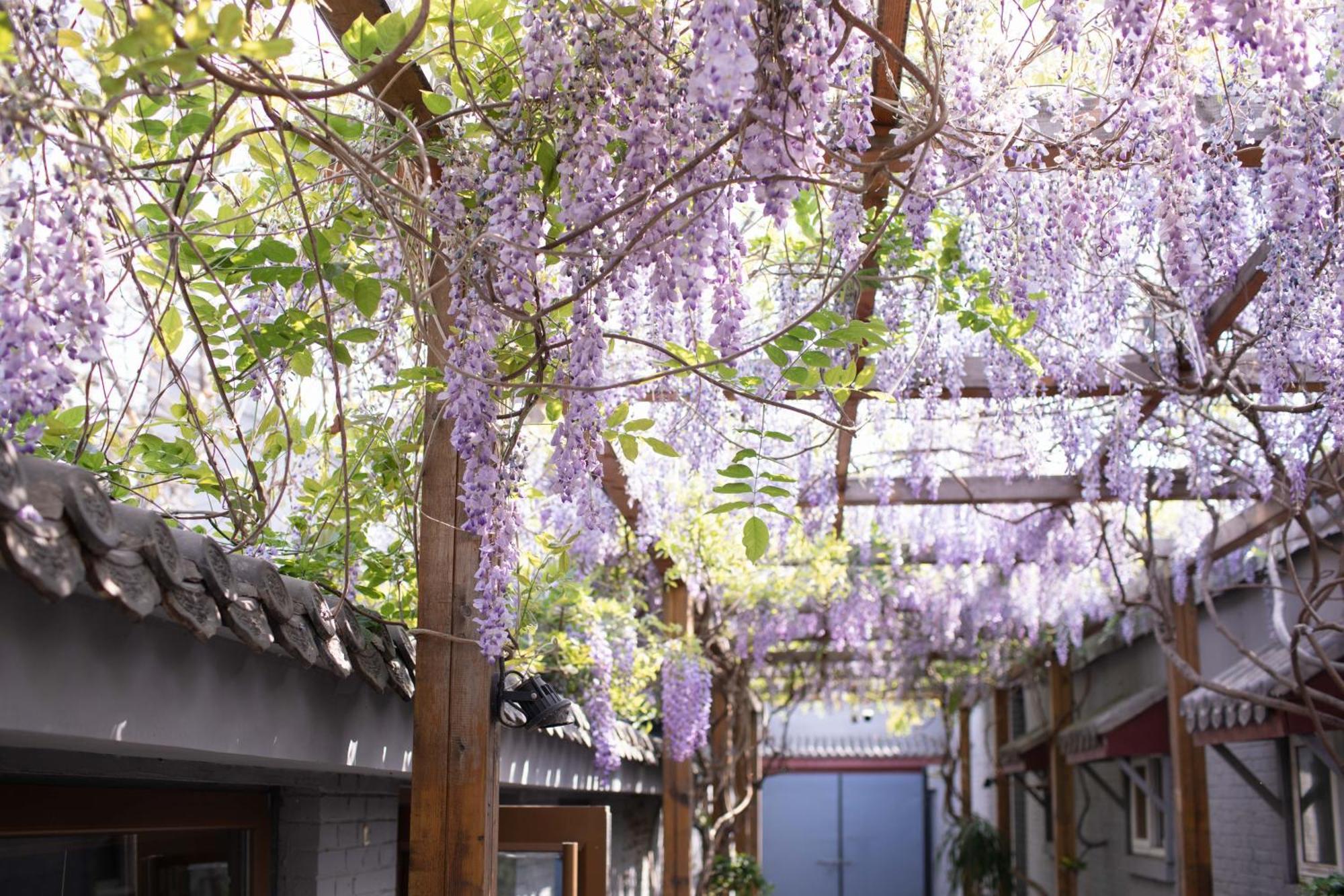Guipu Beihai Courtyard Hotel Peking  Buitenkant foto